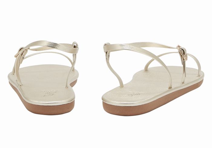 Sandales Bride Arrière Ancient Greek Sandals Niove   | PCW-1314992